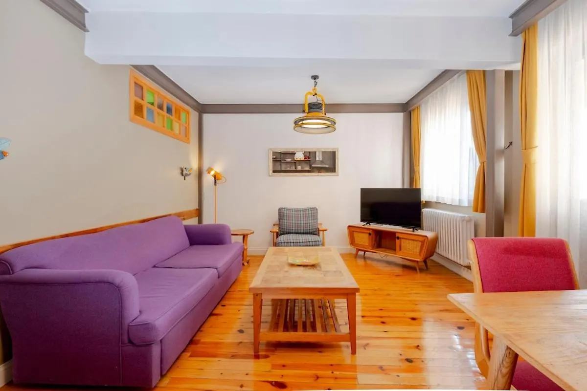 Cosy Apartment With Lofty Ceilings Istanbul