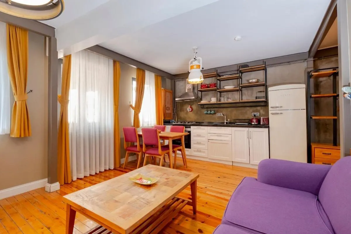 Cosy Apartment With Lofty Ceilings Istanbul
