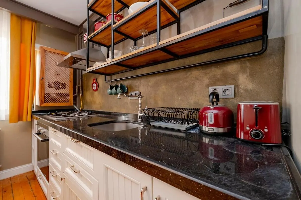 Cosy Apartment With Lofty Ceilings İstanbul
