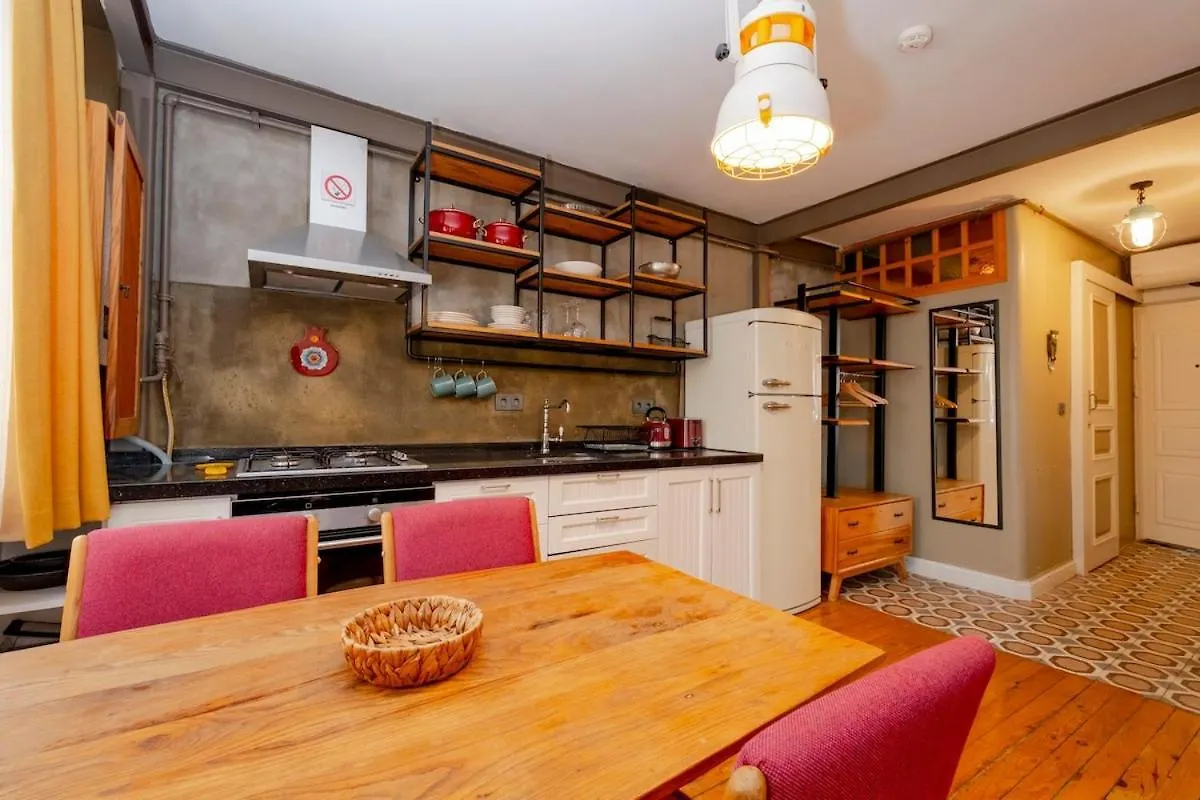 Cosy Apartment With Lofty Ceilings Istanbul Turkey
