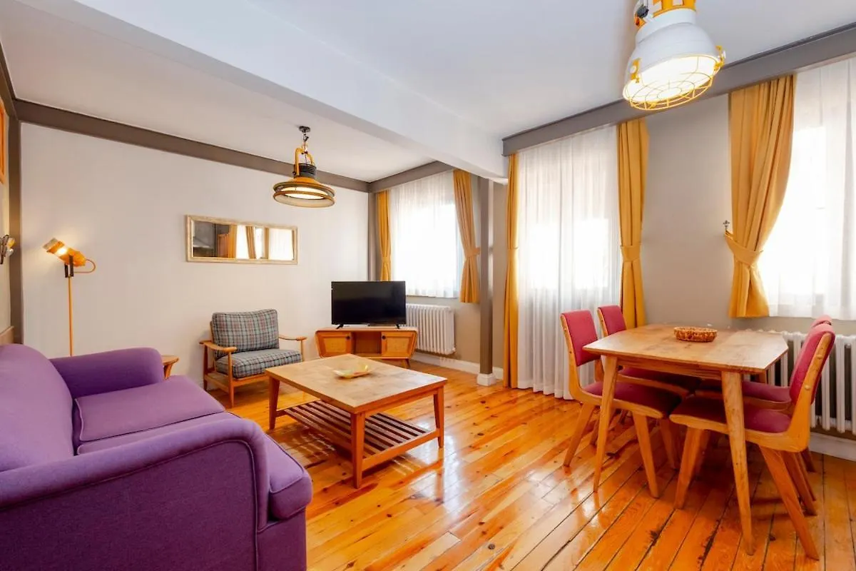 Cosy Apartment With Lofty Ceilings Istanbul