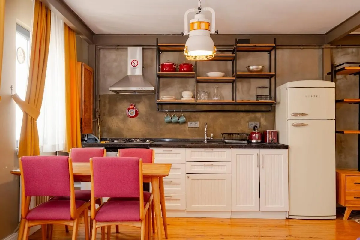 Cosy Apartment With Lofty Ceilings Istanbul